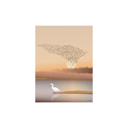 Murmuration plakat, ViSSEVASSE