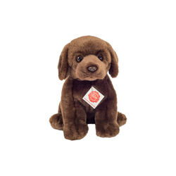 Siddende labrador, Teddy Hermann