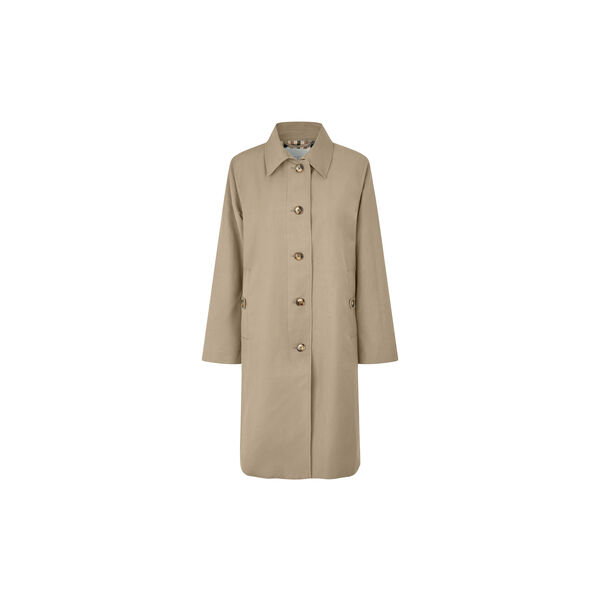 MaTolruna, petrified oak, Masai