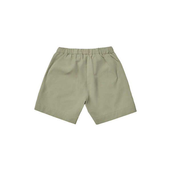 Wilder Shorts, turtle, Lalaby