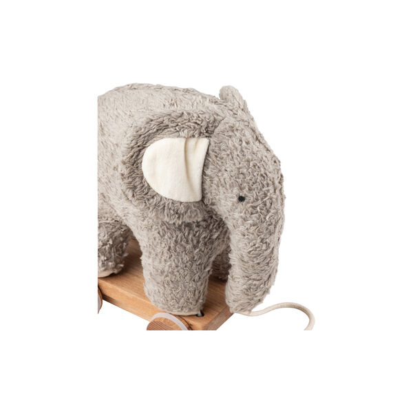 Fanto trækdyr, grey Fanto trækdyr, grey, Sebra