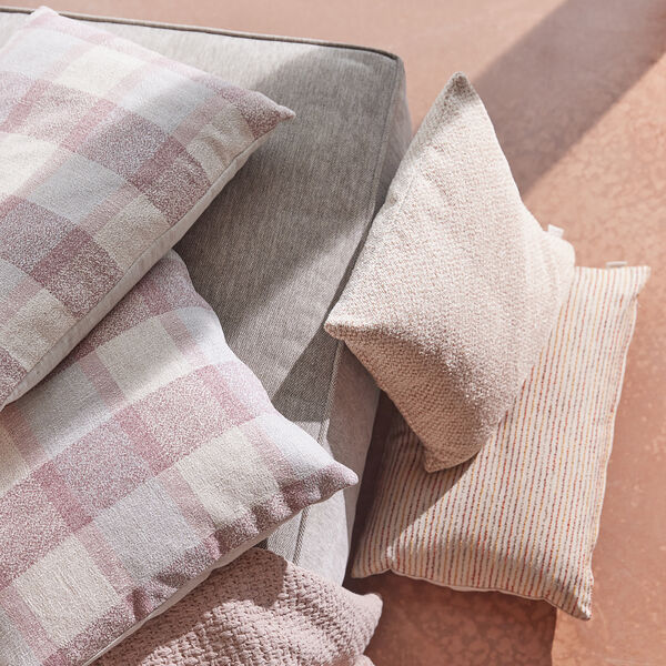 Steam pude, rose, Compliments