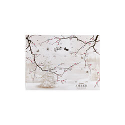 Amber Christmas Calendar, Summerbird