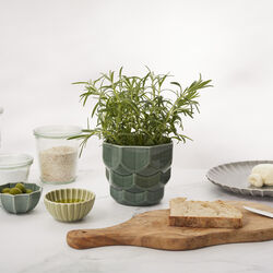 Samsurium blomsterkrukke, spruce, Dottir Nordic Design