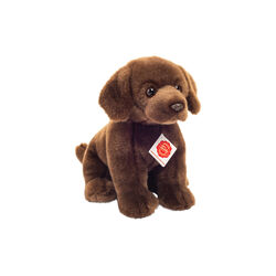 Siddende labrador, Teddy Hermann