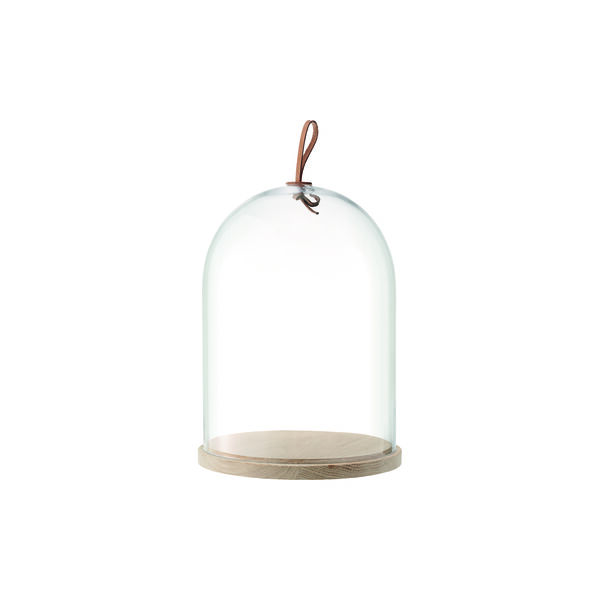 Ivalo kuppel, LSA International