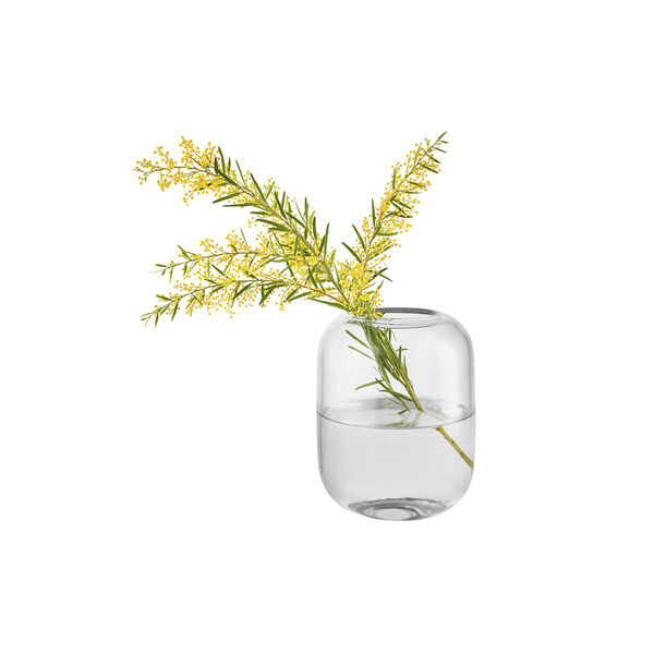 Acorn vase, clear, Eva Solo
