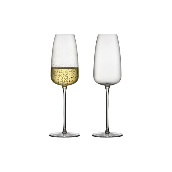 Veneto champagneglas 2 stk. Veneto champagneglas 2 stk., Lyngby Glas