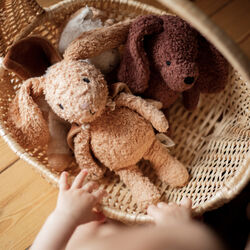 Den lyttende kanin med kappe, Sleeping Hero