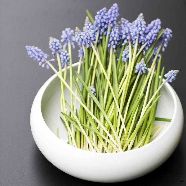 Nest sk&aring;l, Kay Bojesen