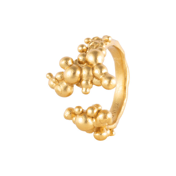 ORB CHRONICLES RING, forgyldt, House of Vincent