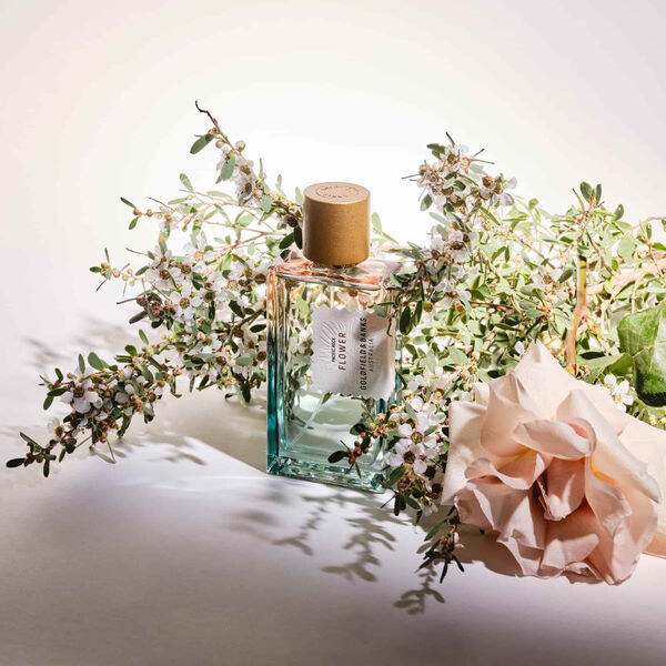 Pacific Rock Flower, Goldfield & Banks