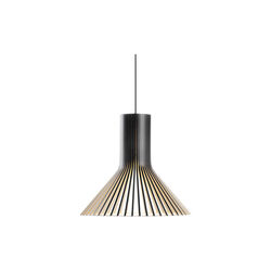 Puncto 4203 Pendant, black, Secto Design
