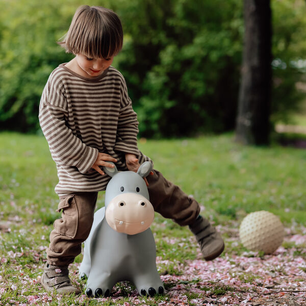 Holger the Hippo Jumping Animal, Find that hippo