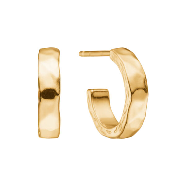 Bumped Øreringe, Studio Z