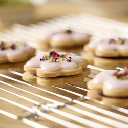 Afkølingsrist foldbar, Blomsterbergs