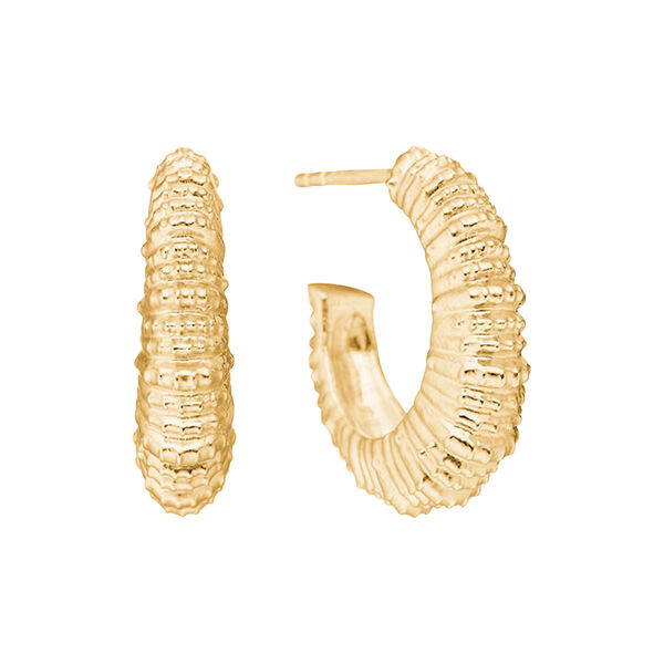 Seashell Secrets &oslash;reringe, forgyldt s&oslash;lv, Studio Z