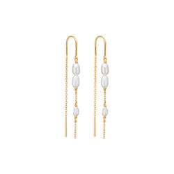 Perma Ørehænger, Studio Z