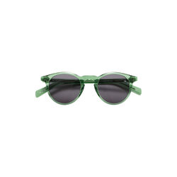 Waylon Sunglasses, transparent forest green, AY Studios