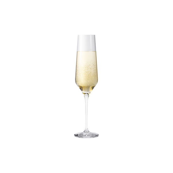 Legio Nova champagneglas 6 stk., Eva Trio