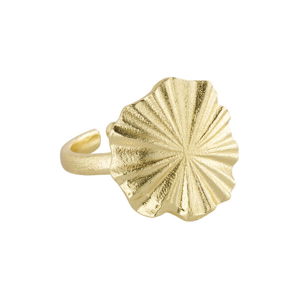 Florence ring m. rund top, guldbelagt Florence ring m. rund top, guldbelagt, Pure by Nat