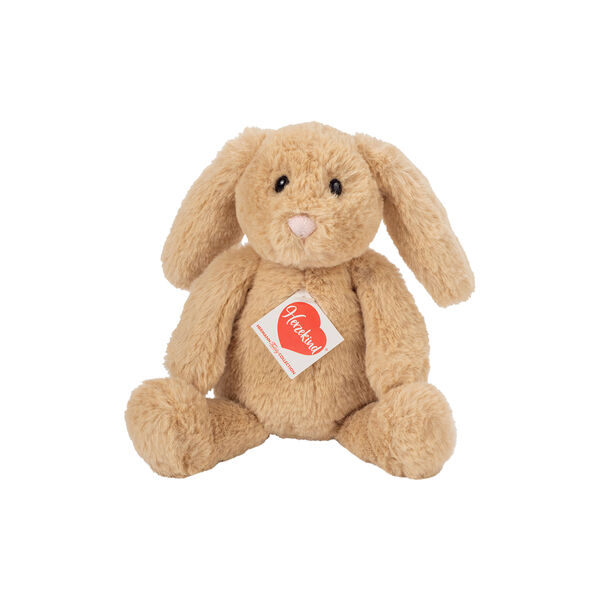 Kaninen Anny, Teddy Hermann