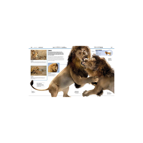 Familiens store bog om dyreriget, Forlaget Globe