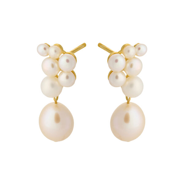 Ocean Treasure Ørestikker, forgyldt, Pernille Corydon Jewellery