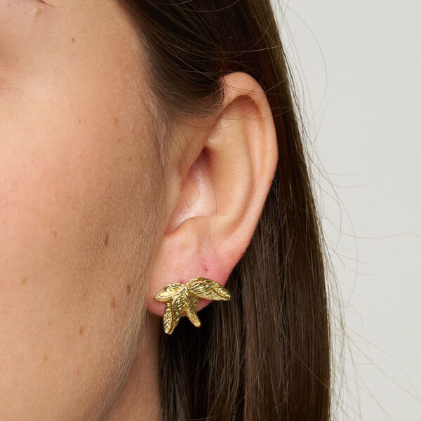 Vilde &Oslash;reringe, fors&oslash;lvet, Pure by Nat