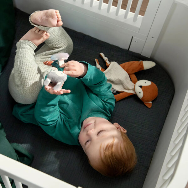 R&aelig;ven Sparky aktivitetsnusseklud, Sebra