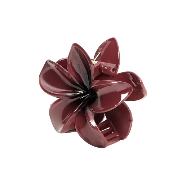 Plumeria Berry Big, burgundy, SUI AVA