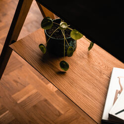 Hylde, olieret eg, KRISTIAN JUUL