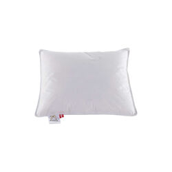 Kiddy juniorpude Kiddy juniorpude, Ringsted Dun