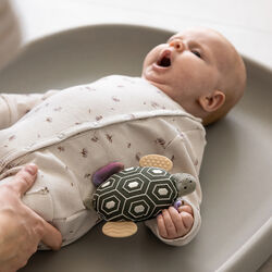 Skildpadden Turbo aktivitetsrangle med spejl, Sebra