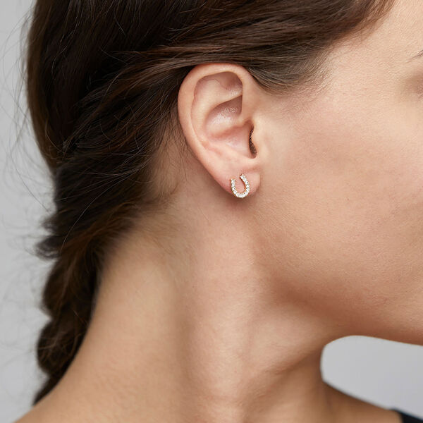 LEANNA Good Luck Crystal Øreringe, gold plated, Pilgrim