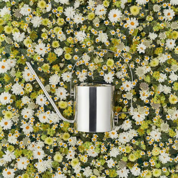 Original blomstervandkande, Stelton