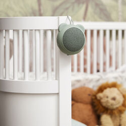 Roar Bluetooth h&oslash;jttaler, dusty green, Kreafunk