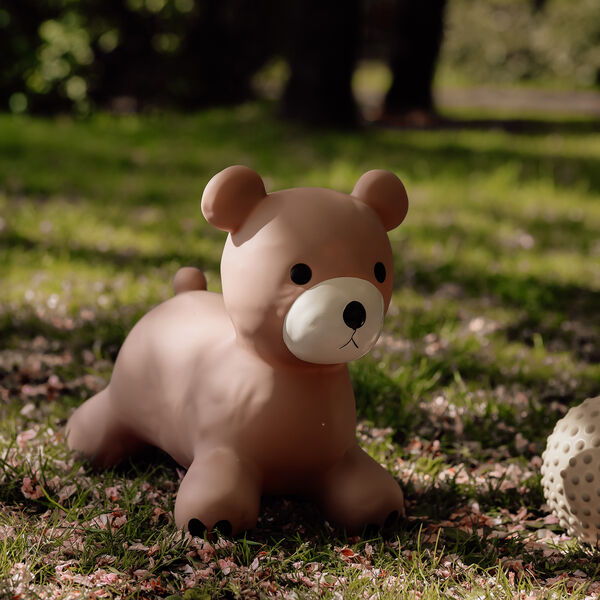 Maya the Bear Jumping Animal, Find that hippo