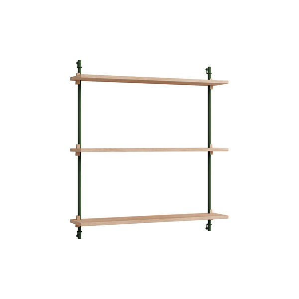 Wall Shelving Standard, oak/pine green, MOEBE