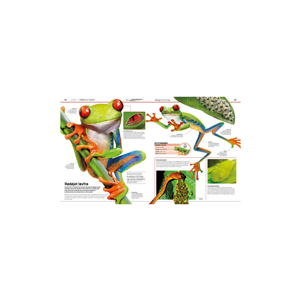 Familiens store bog om dyreriget, Forlaget Globe