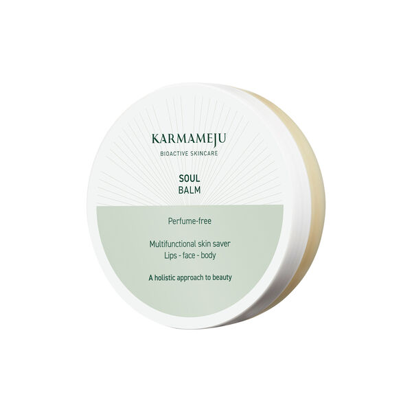 SOUL balm, Karmameju