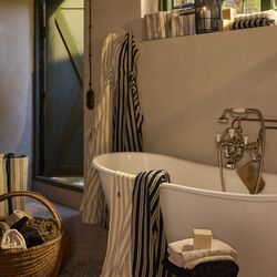 Striped Terry Towel, lt beige/off white, Lexington