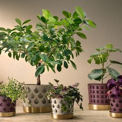 Trio Drop Flowerpot Small, Klong