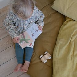 Tællebog, multi colour, Franck & Fischer