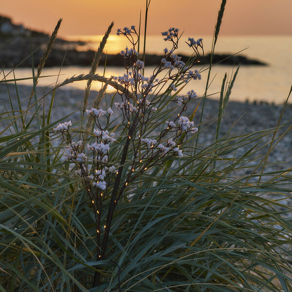 Michel blomstergren, 45 LED, Sirius Home