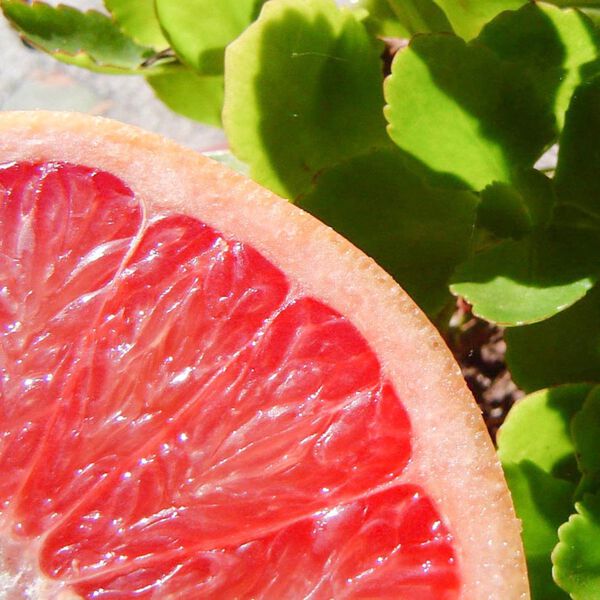 Solid parfume - Pink grapefruit No. 33, Single Flowers Perfume