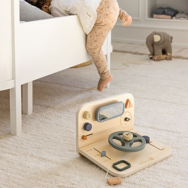 Bil aktivitetspanel, Sebra