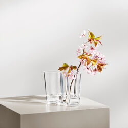 Alvar Aalto vase 16 cm, clear, Iittala