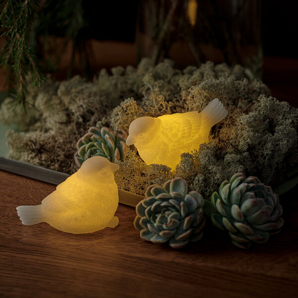 Erica spurve, hvid, Sirius Home