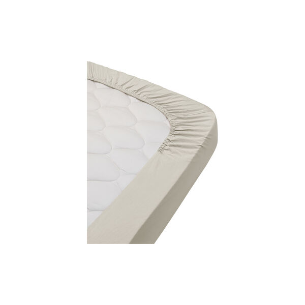 Fern faconsyet lagen, little mouse, Dear April